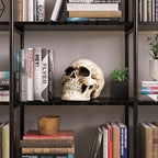 READAEER Halloween Skull Head, Life Size Resin Skull, Large Size Adult Skull Head Model for Home Decoration, Halloween Skull Statue, Human Skull Head Model (White) - Image 6