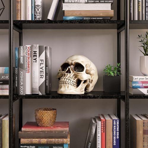 READAEER Halloween Skull Head, Life Size Resin Skull, Large Size Adult Skull Head Model for Home Decoration, Halloween Skull Statue, Human Skull Head Model (White) - Image 6