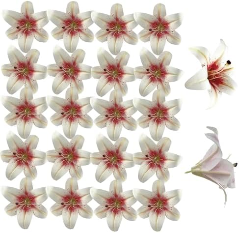 20PCS 6" Large Fake Lily Flower Heads, Realistic Stamens Artificial Flowers for Crafts Cake Wedding Decor (White Pink) by SOFTKIDS