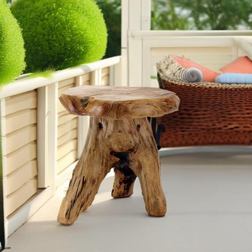 WELLAND Natural Cedar Stump Stool, Live Edge Side Table, Plant Stand, Small - Image 6