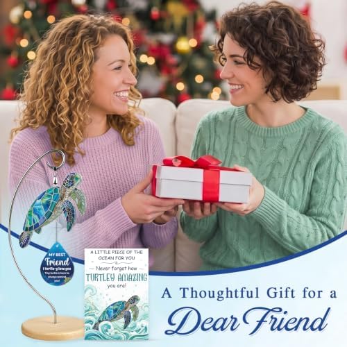 Positive Turtle Gifts for Best Friend Women - Christmas Desk Decor - Image 2