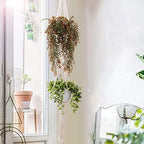 Artificial Hanging Vine, Faux Ivy Leaves Plastic Plants Greenery Fake Foliage Plant UV Resistant Vines Decor for Indoor Outdoor Home Kitchen Garden Office Wall Baskets Wedding Decoration Red 2 Pack - Image 3