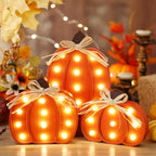 3 Pcs Light up Fall Pumpkin Decor Table Centerpieces Wooden Pumpkin Block Sign Rustic Tiered Tray Decorations Standing for Autumn Harvest Farmhouse Fall Mantel Desk Office Party by Unknown