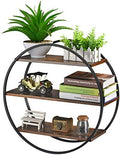 Circle Shelf Wall Decor, 3 Tier Decorative Round Wall Shelf by BCOZLUX