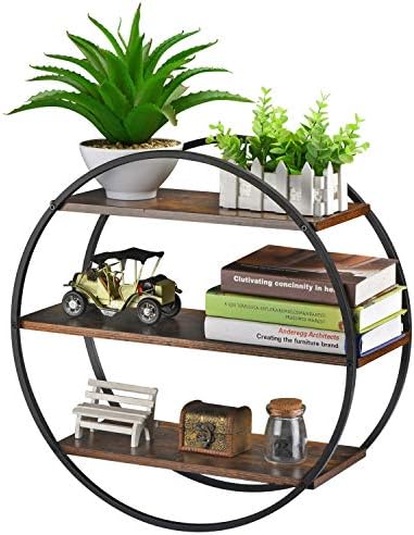 Circle Shelf Wall Decor, 3 Tier Decorative Round Wall Shelf by BCOZLUX
