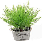 Artificial Fern Leaves Plants, Plastic Shrubs Grass Fake Bushes 2pcs, Outdoor Indoor Greenery Home Garden Décor Verandah Planting Filler Table Centerpieces Arrangements DIY Decoration - Image 2