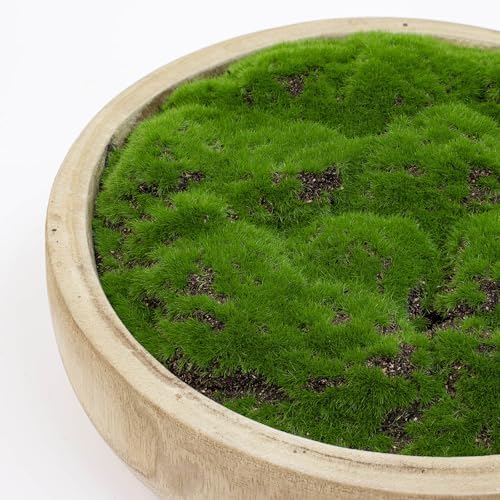 Moss Wood Bowl, Natural Round Dough Bowl for Tabletop Centerpiece Decor - Image 4