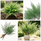 Artificial Ferns Plants Indoor Decor Fake Boston Fern for Outdoors 4 Pack, Faux Plastic Greenery Shrubs Home Garden Verandah Kitchen Bathroom Decoration Wedding Party Christmas DIY Bundles Bush 4 Pcs - Image 6