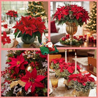 36 Pack Poinsettia Flowers Artificial Christmas Decorations, Red Poinsettia Flowers for Christmas Tree, Velvet Poinsettias Artificial Flowers for Xmas Decor DIY for Home Vase Indoor Outdoor Garden - Image 7