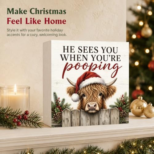 Christmas Highland Cow Bathroom Decorations Funny Wooden Box Sign - Image 5