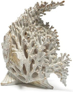 Hodao Sea Coral Fish Figurines, Angelfish Coral Reef Coastal Beach Decor - Image 3