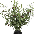 Leftover 6PCS 38 Inch Faux Olive Branches for Vase,Artificial Olive Tree Branches,Eucalyptus Stems,Fake Plant,Faux Greenery Stems for Centerpieces,Home Decor&Wedding Decor by LEFTOVER