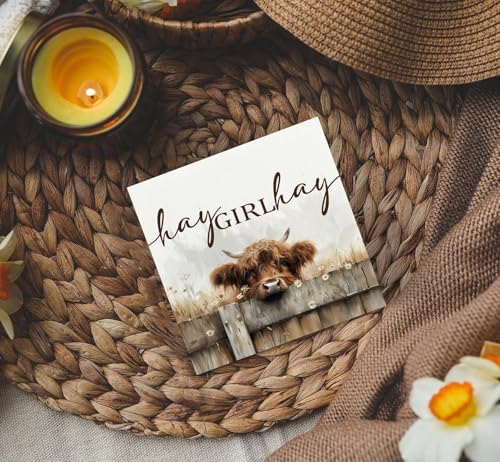 Highland Cow Bathroom Decor Sign - Farmhouse Western Animal Bathroom Decor,Rustic Farm Animal Hay Girl Hay Signs,Highland Cow Gifts for Women Signs & Plaques - Image 4