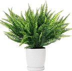 Artificial Boston Fern Plant Bushes, Plastic Shrubs Grass Leaves Fake Plants Outdoor Indoor Greenery Home Garden Décor UV Resistant Table Centerpieces DIY Decoration Planting Filler 8 Pack - Image 2