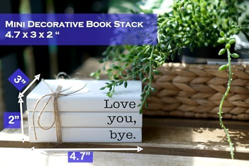 Cute Love You Bye Mini Wooden Faux Books, Express Love and Warm Family Sign for Office Front Door Bathroom Hallway Entryway Shelf Table Corner Decoration - Image 2
