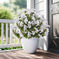 Bougainvillea Artificial Faux Bougainvillea Outdoor 4 Pack Fake Bougainvillea Hanging Flowers Artificial Bougainvillea for Indoor Home Porch Garden Decor Spring Flowers No Vases(White) by Unknown