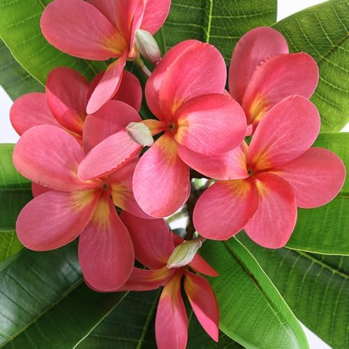 XIYUAN 35.5 Inch Artificial Frangipani Flower 2 Pack Lifelike Real Touch Artificial Plumeria Flowers,for Home Vase Garden Decoration Party Wedding Bouquet (Red) - Image 2