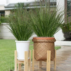 Ttranewsoo 12 Pcs 17 Inch Artificial Wheat Grass Plants, Fake Grass Greenery with Long Leaves, Faux Ornamental Fountain Grass for Outdoor Planters, Porch Pots, Patio and Home Decor - Image 4