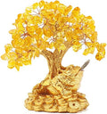 Feng Shui Lucky Money Toad Decorations,Ideal for Attracting WealthLucky Charm Wealth Frog for Cash Register, Office Desk, House Warming, Store Opening Gift by BWINKA
