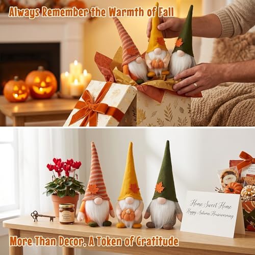 3PCS Fall Gnomes Plush, Thanksgiving Decorations for Tiered Tray - Image 6