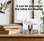 Live like Someone Left the Gate Open Belgian Malinois Wooden Signs,Farm Cottagecore Animal Office Kitchen Bedroom Decor,Rustic Farmhouse Home Decor Signs,Belgian Malinois Gifts for Women - Image 3