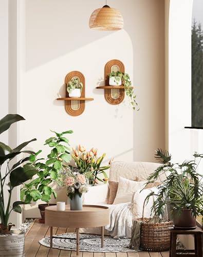 Floating Shelves for Wall, Boho Home Wall Decor,Rattan Plant Shelf Set of 2, Mid Century Small Decorative Shelf, Natural Wood Shelves for Living Room,Bedroom,House,Office (Walnut) - Image 2