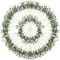 100PCS 10in Faux Olive Leaves Stems Bulk for Wedding Hotel Decor by Erlandens