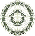 100PCS 10in Faux Olive Leaves Stems Bulk for Wedding Hotel Decor by Erlandens