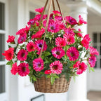 Rose Red Artificial Morning Glory Flowers for Outdoor Planters, Premium UV Resistant Silk Faux Flowers for Porch, Hanging Basket & Window Box, Summer Garden Decor, No Pot, 13.3 Inch, 4 Bundles - Image 4