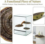 3pcs Cute Mushroom Shelves, Hanging Whimsical Cottage Core Home Wall Decor, Leopard Gecko Tank Accessories (Large) - Image 4