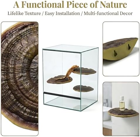 3pcs Cute Mushroom Shelves, Hanging Whimsical Cottage Core Home Wall Decor, Leopard Gecko Tank Accessories (Large) - Image 4