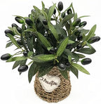 Fake Plants Artificial Olive Branches 10” Fake Greenery Small Olive Leaves Stems, Faux Tree Branch Greenery Stem Silk Plant for Home Decor Office Wedding Bouquets Party DIY Decoration 20 Pcs (No Vase) - Image 2