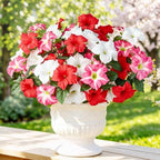 Uieke Artificial Flowers for Outdoors, 24PCS Faux Petunias Outdoor Uv Resistant Silk Flower, Spring Decorations for Home Garden Patio Porch, Red&White by Uieke