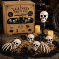 Resin Skull Set by XINONE