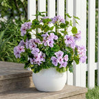 Artificial Geraniums for Outdoors, 4 Stems 17.7 Inch Purple Faux Geranium Bush Fake Flowers UV Resistant Fall Porch Patio Garden Planter Window Box Indoor Decor, Pot Not Included - Image 5