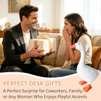 Desk Goose Statue 7 Inch with Outfit for Home Office Decor - Image 7