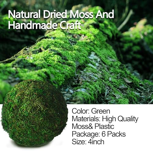 Qingbei Rina Large Green Moss Balls Decorative(4"-Set of 6) - Image 3