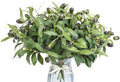 30pcs 10” Faux Olive Leaves Fake Olive Branches for Small Vase by Erlandens