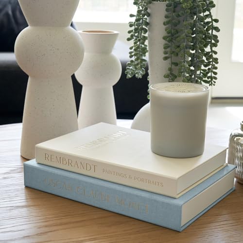 ZICOTO Beautiful Decorative Books Set of 2 for Your Coffee Table & Shelf - Image 2