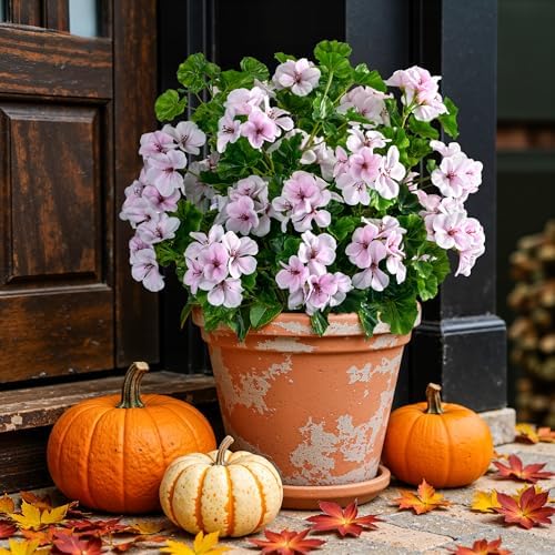 Artificial Geraniums for Outdoors, 8 Stems 17.7 Inch Pinkish White Faux Geranium Bush Fake Flowers UV Resistant Fall Porch Patio Garden Planter Window Box Indoor Decor, Pot Not Included - Image 3