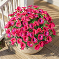 Rose Red Artificial Morning Glory Flowers for Outdoor Planters, Premium UV Resistant Silk Faux Flowers for Porch, Hanging Basket & Window Box, Summer Garden Decor, No Pot, 13.3 Inch, 8 Bundles by UqueetenLtd