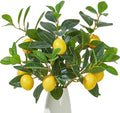 Heleze 3 Pcs Artificial Lemons Tree Branches - Faux Greenery Stems Realistic Lemon Branch with Lifelike Leaves Fake Lemon Plant for Home, Dining Table, Kitchen Decor 18 Inch by Heleze