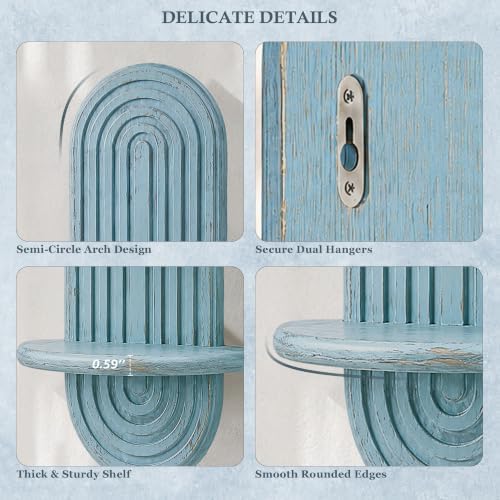 Plant Wall Shelf for Wall Decor: Hanging Plant Shelf for Indoor Plant, Blue - Image 4