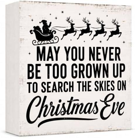 Christmas Decorations May You Never Be Too Grown Up Santa sleigh Wood Sign by GUDIO