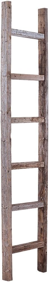 BARNWOODUSA Rustic Decorative Ladder by BarnwoodUSA