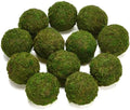 BYHER Natural Green Moss Decorative Ball,Handmade (3.5"-Set of 6) by Byher