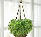 Artificial Weeping Willow, Plastic Plants Greenery Leaves Fake Hanging Vine Faux Ivy Garland UV Resistant for Home Indoor Outdoor Garden Door Wall Baskets Wedding Party Table Decor Decoration - 8 Pcs - Image 2