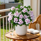 Artificial Geraniums for Outdoors, 8 Stems 17.7 Inch Pinkish White Faux Geranium Bush Fake Flowers UV Resistant Fall Porch Patio Garden Planter Window Box Indoor Decor, Pot Not Included - Image 4