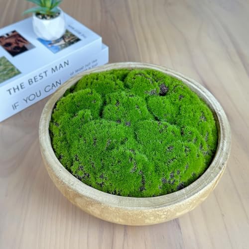 Moss Wood Bowl, Natural Round Dough Bowl for Tabletop Centerpiece Decor - Image 5