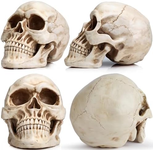 READAEER Halloween Skull Head, Life Size Resin Skull, Large Size Adult Skull Head Model for Home Decoration, Halloween Skull Statue, Human Skull Head Model (White) - Image 3